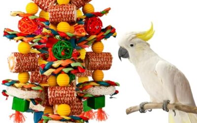 10 Toys for African Grey Parrots: Chewing, Foraging, and Size Fit