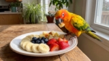 Can Parrots Eat Bananas? Everything Bird Owners Need to Know