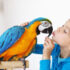 Can Parrots Eat Apples? A Complete Guide to Feeding Apples Safely
